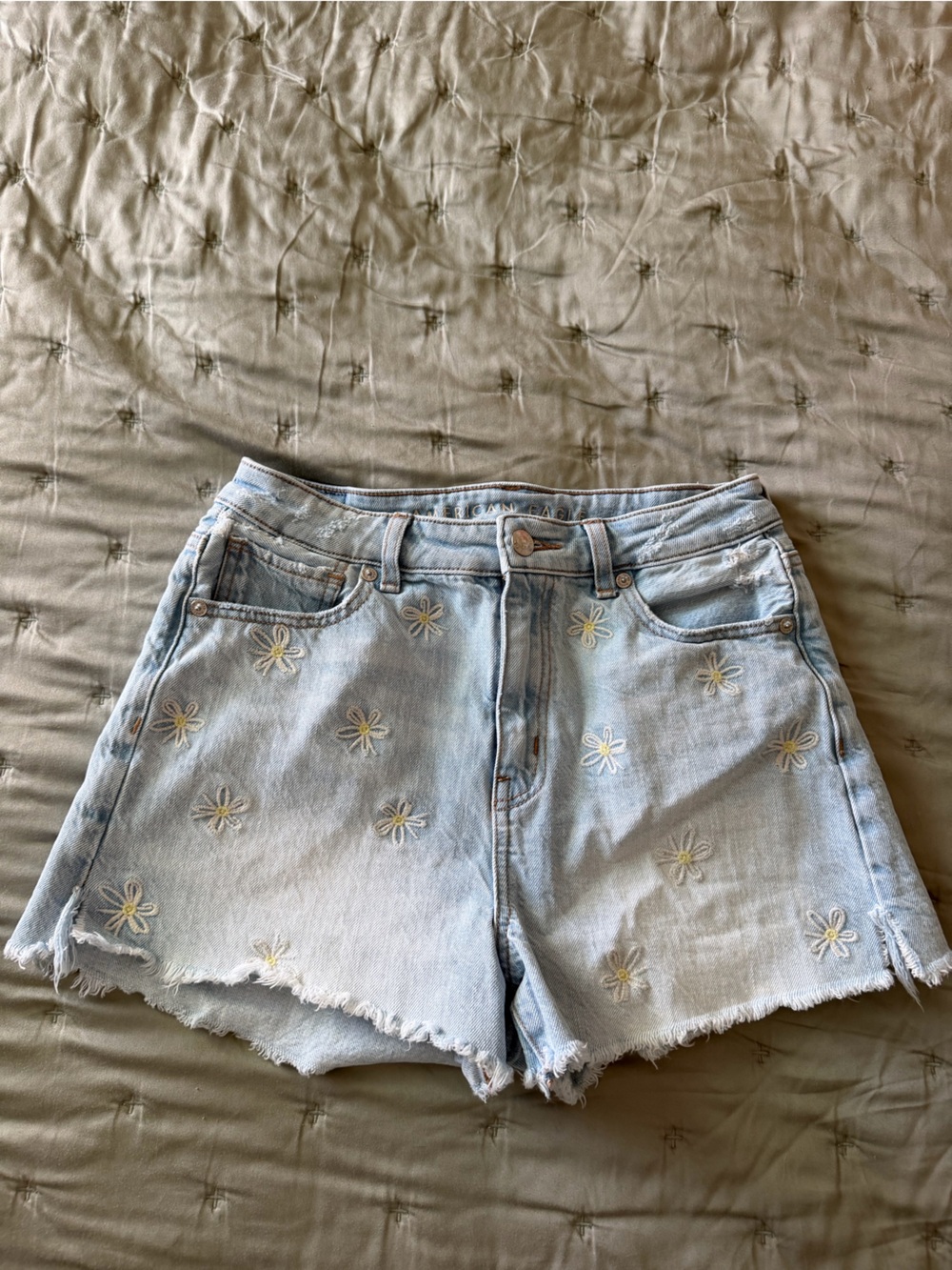American Eagle Outfitters Light Blue Daisy Embroidered Denim Shorts